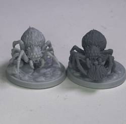 Attacking Spider and Weaving Spider (2)